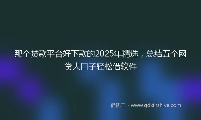 那个贷款平台好下款的2025年精选，总结五个网贷大口子轻松借软件