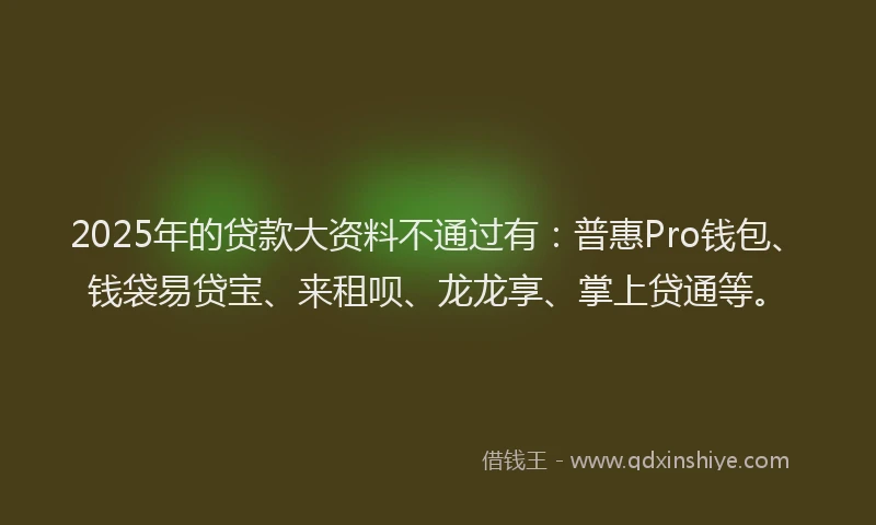 2025年的贷款大资料不通过有：普惠Pro钱包、钱袋易贷宝、来租呗、龙龙享、掌上贷通等。
