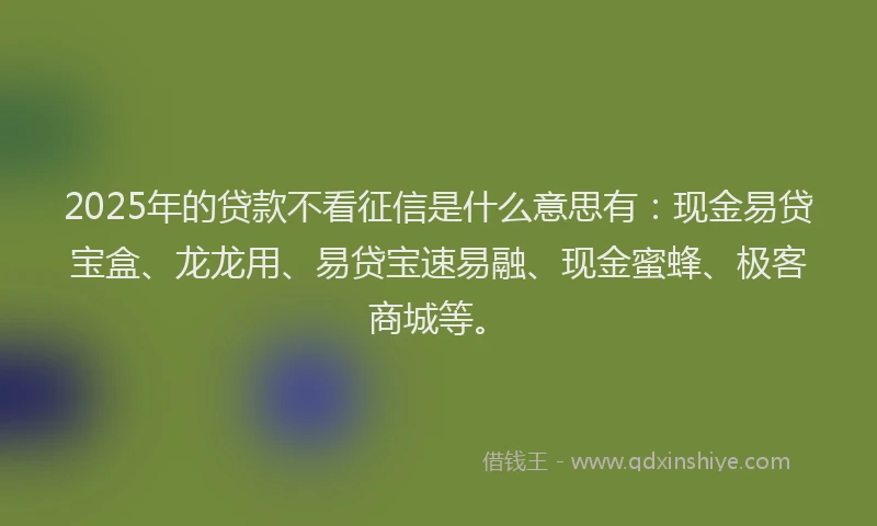 2025年的贷款不看征信是什么意思有：现金易贷宝盒、龙龙用、易贷宝速易融、现金蜜蜂、极客商城等。