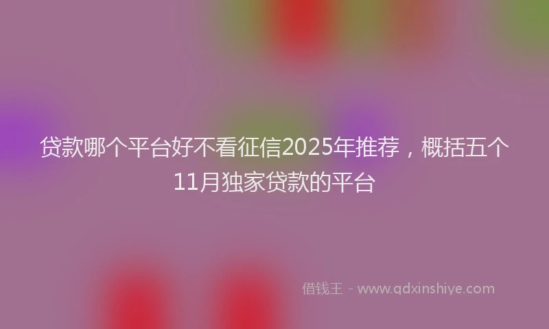 贷款哪个平台好不看征信2025年推荐，概括五个11月独家贷款的平台