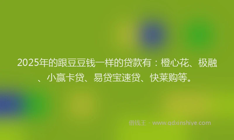 2025年的跟豆豆钱一样的贷款有：橙心花、极融、小赢卡贷、易贷宝速贷、快莱购等。