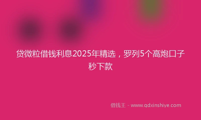 贷微粒借钱利息2025年精选，罗列5个高炮口子秒下款