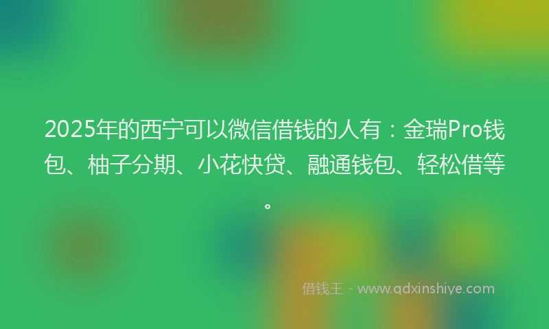 2025年的西宁可以微信借钱的人有：金瑞Pro钱包、柚子分期、小花快贷、融通钱包、轻松借等。