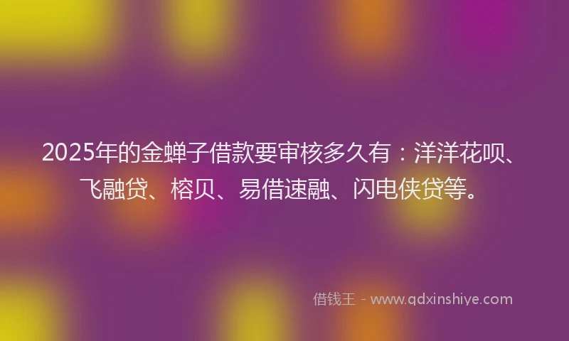 2025年的金蝉子借款要审核多久有：洋洋花呗、飞融贷、榕贝、易借速融、闪电侠贷等。