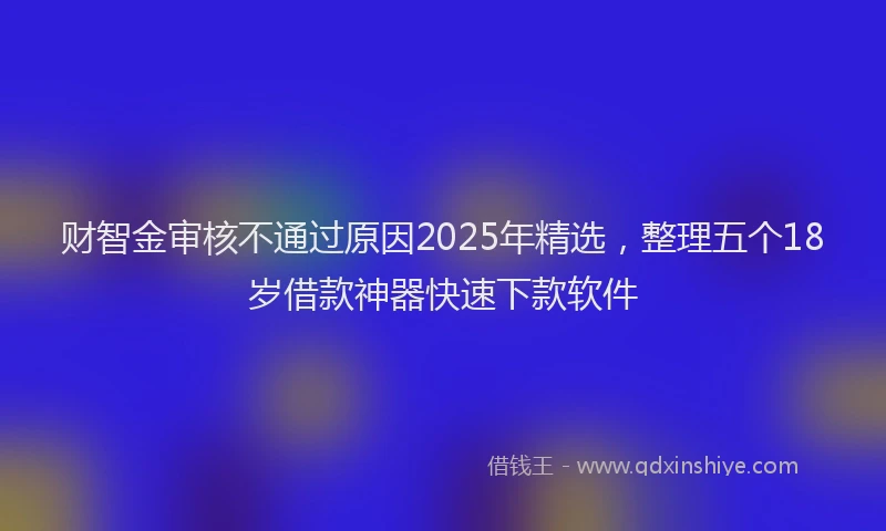 财智金审核不通过原因2025年精选，整理五个18岁借款神器快速下款软件