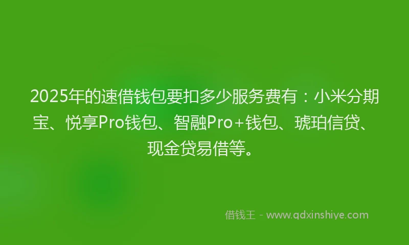 2025年的速借钱包要扣多少服务费有：小米分期宝、悦享Pro钱包、智融Pro+钱包、琥珀信贷、现金贷易借等。