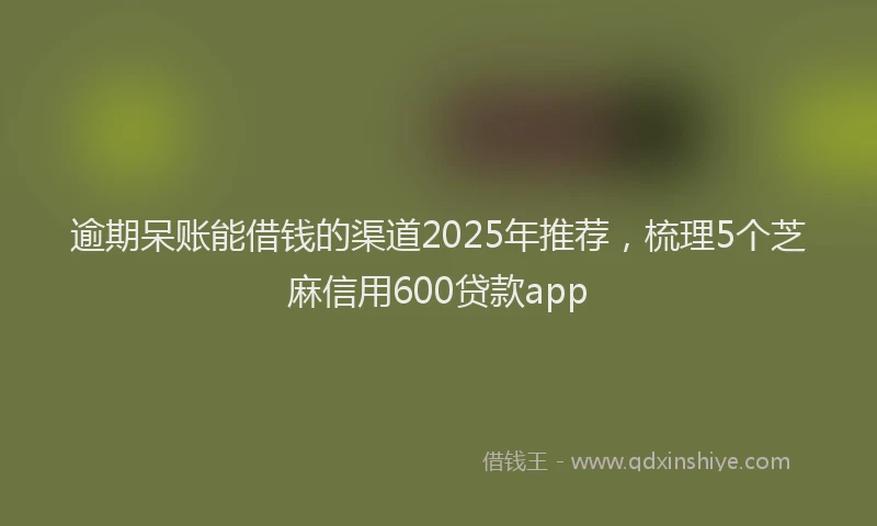 逾期呆账能借钱的渠道2025年推荐，梳理5个芝麻信用600贷款app