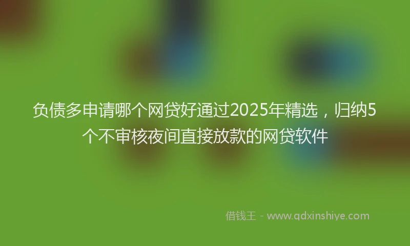 负债多申请哪个网贷好通过2025年精选，归纳5个不审核夜间直接放款的网贷软件