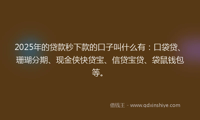 2025年的贷款秒下款的口子叫什么有：口袋贷、珊瑚分期、现金侠快贷宝、信贷宝贷、袋鼠钱包等。
