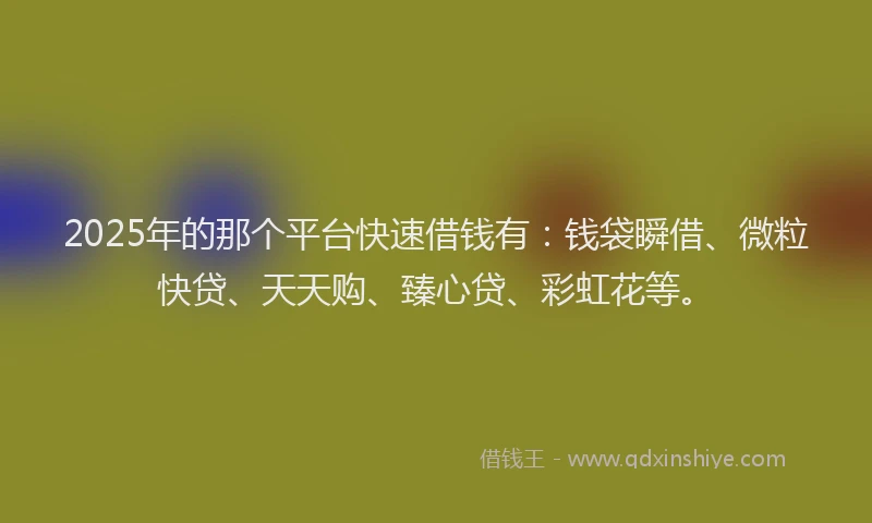 2025年的那个平台快速借钱有：钱袋瞬借、微粒快贷、天天购、臻心贷、彩虹花等。
