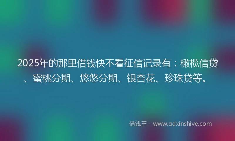2025年的那里借钱快不看征信记录有：橄榄信贷、蜜桃分期、悠悠分期、银杏花、珍珠贷等。