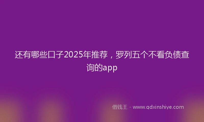 还有哪些口子2025年推荐，罗列五个不看负债查询的app