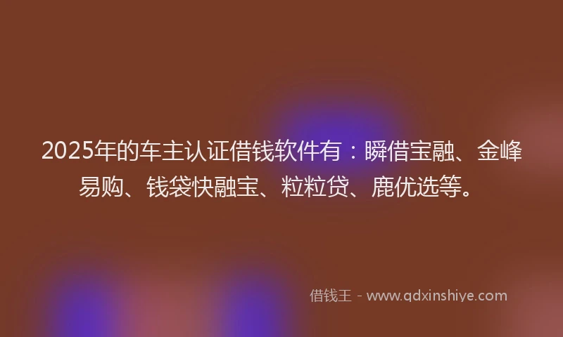 2025年的车主认证借钱软件有：瞬借宝融、金峰易购、钱袋快融宝、粒粒贷、鹿优选等。
