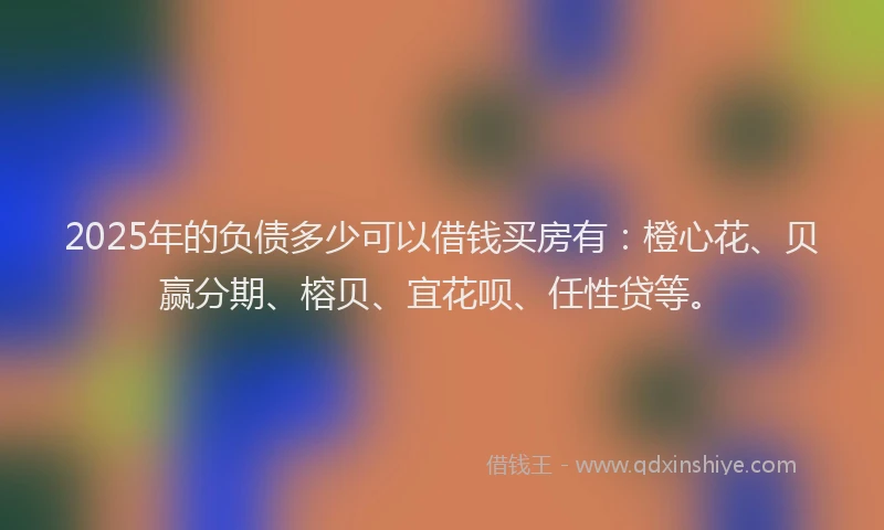 2025年的负债多少可以借钱买房有：橙心花、贝赢分期、榕贝、宜花呗、任性贷等。