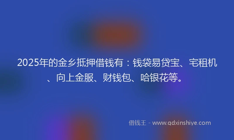 2025年的金乡抵押借钱有：钱袋易贷宝、宅租机、向上金服、财钱包、哈银花等。