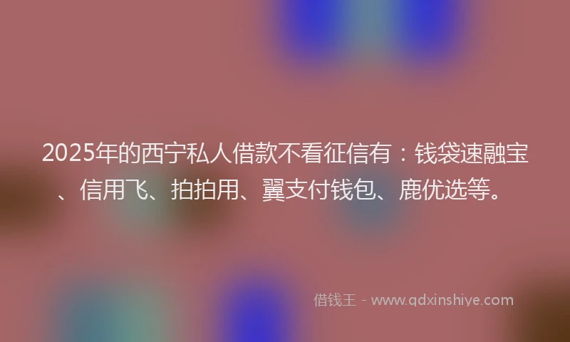 2025年的西宁私人借款不看征信有：钱袋速融宝、信用飞、拍拍用、翼支付钱包、鹿优选等。
