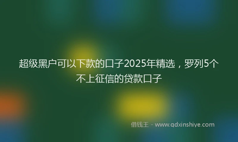 超级黑户可以下款的口子2025年精选，罗列5个不上征信的贷款口子