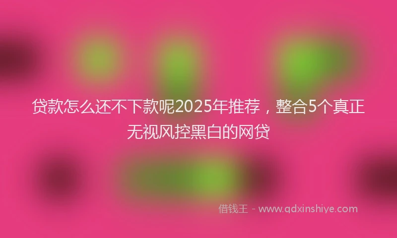 贷款怎么还不下款呢2025年推荐，整合5个真正无视风控黑白的网贷