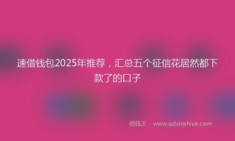 速借钱包2025年推荐，汇总五个征信花居然都下款了的口子