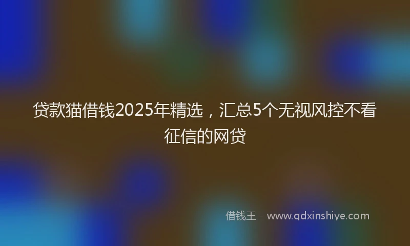 贷款猫借钱2025年精选，汇总5个无视风控不看征信的网贷