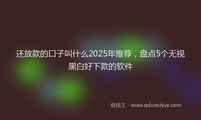 还放款的口子叫什么2025年推荐，盘点5个无视黑白好下款的软件