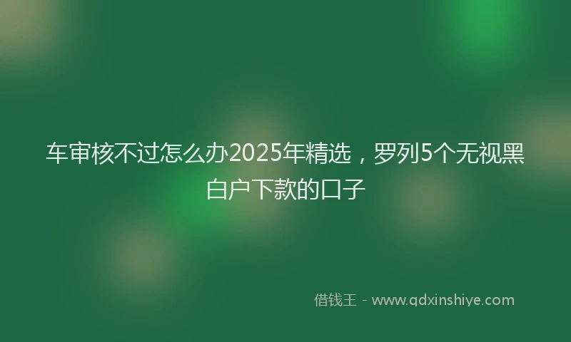 车审核不过怎么办2025年精选，罗列5个无视黑白户下款的口子