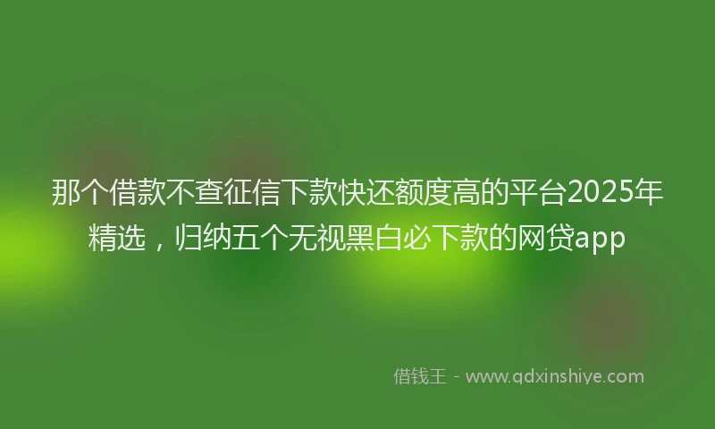那个借款不查征信下款快还额度高的平台2025年精选，归纳五个无视黑白必下款的网贷app