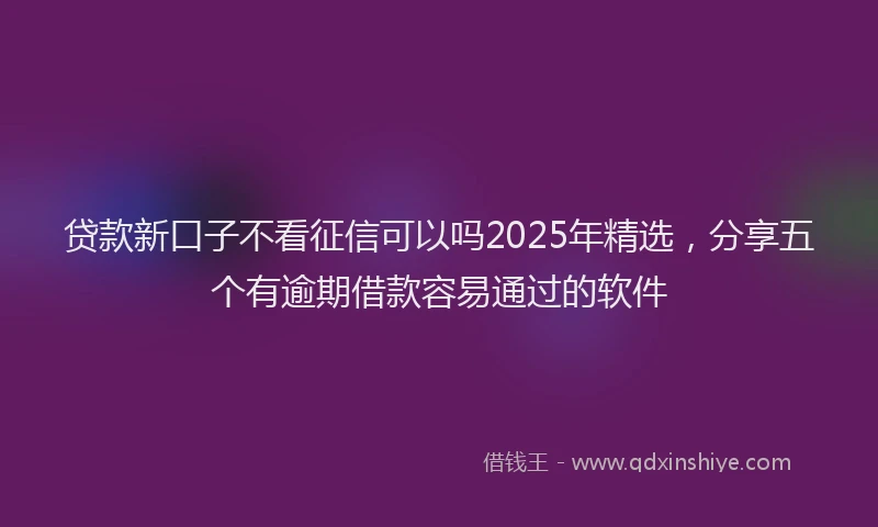 贷款新口子不看征信可以吗2025年精选，分享五个有逾期借款容易通过的软件