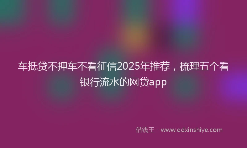 车抵贷不押车不看征信2025年推荐，梳理五个看银行流水的网贷app