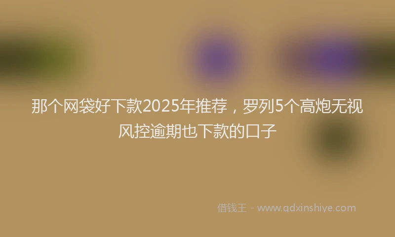 那个网袋好下款2025年推荐，罗列5个高炮无视风控逾期也下款的口子