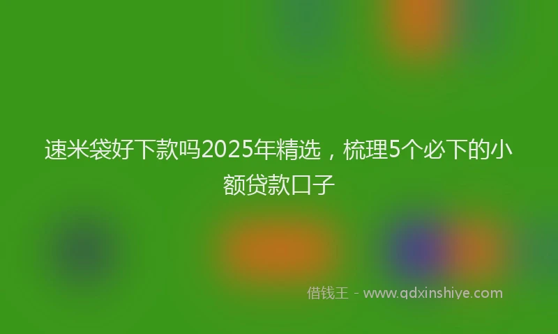 速米袋好下款吗2025年精选，梳理5个必下的小额贷款口子