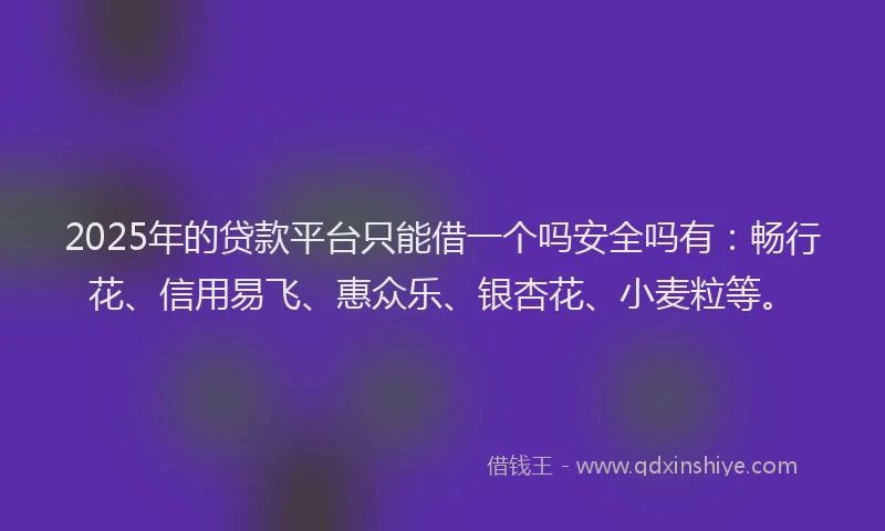 2025年的贷款平台只能借一个吗安全吗有：畅行花、信用易飞、惠众乐、银杏花、小麦粒等。