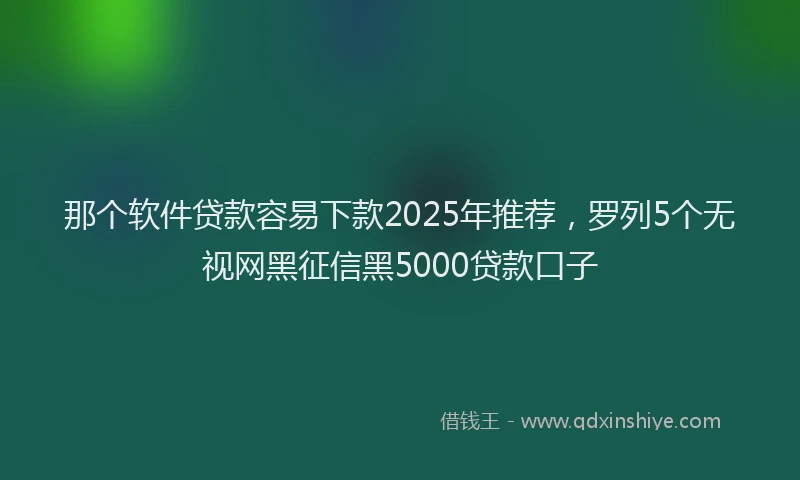 那个软件贷款容易下款2025年推荐，罗列5个无视网黑征信黑5000贷款口子