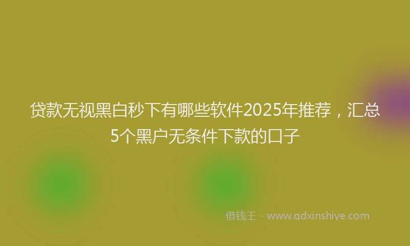 贷款无视黑白秒下有哪些软件2025年推荐，汇总5个黑户无条件下款的口子