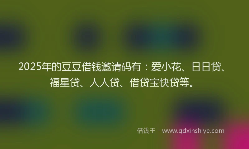2025年的豆豆借钱邀请码有：爱小花、日日贷、福星贷、人人贷、借贷宝快贷等。