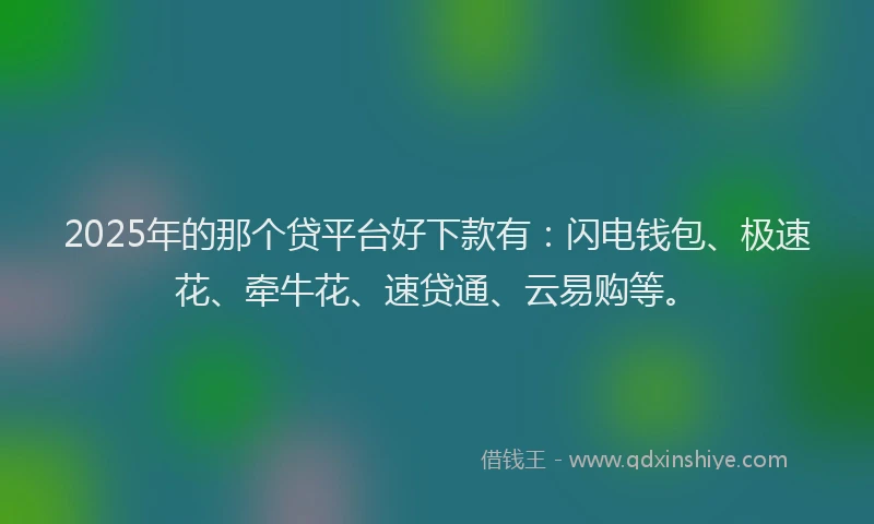 2025年的那个贷平台好下款有：闪电钱包、极速花、牵牛花、速贷通、云易购等。