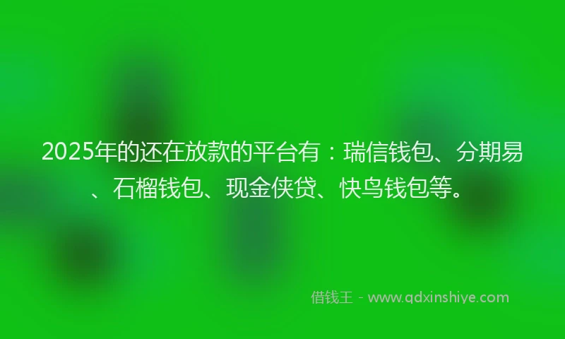 2025年的还在放款的平台有：瑞信钱包、分期易、石榴钱包、现金侠贷、快鸟钱包等。