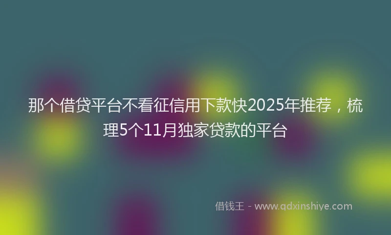 那个借贷平台不看征信用下款快2025年推荐，梳理5个11月独家贷款的平台