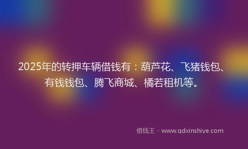 2025年的转押车辆借钱有：葫芦花、飞猪钱包、有钱钱包、腾飞商城、橘若租机等。