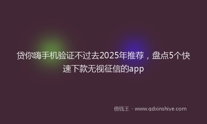 贷你嗨手机验证不过去2025年推荐，盘点5个快速下款无视征信的app