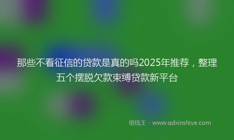 那些不看征信的贷款是真的吗2025年推荐，整理五个摆脱欠款束缚贷款新平台