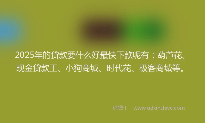 2025年的贷款要什么好最快下款呢有：葫芦花、现金贷款王、小狗商城、时代花、极客商城等。