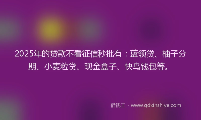 2025年的贷款不看征信秒批有：蓝领贷、柚子分期、小麦粒贷、现金盒子、快鸟钱包等。