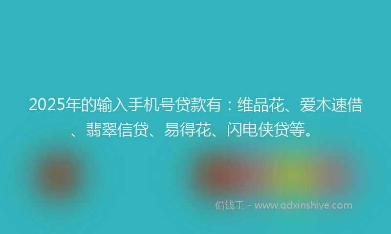 2025年的输入手机号贷款有：维品花、爱木速借、翡翠信贷、易得花、闪电侠贷等。