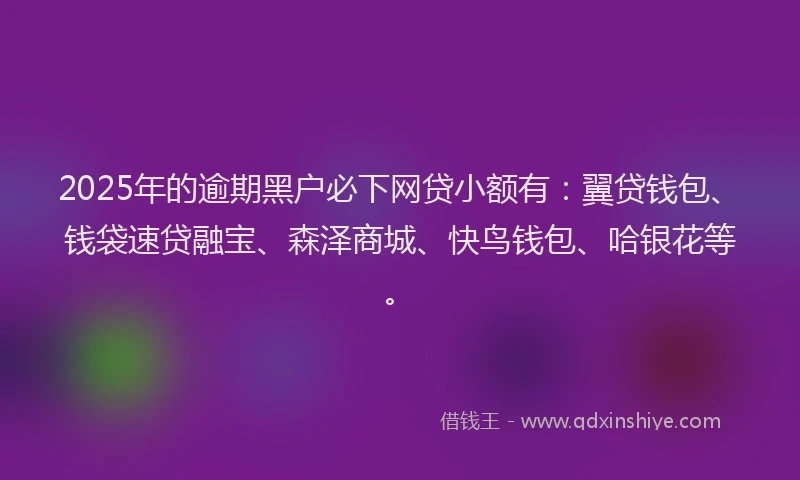 2025年的逾期黑户必下网贷小额有：翼贷钱包、钱袋速贷融宝、森泽商城、快鸟钱包、哈银花等。