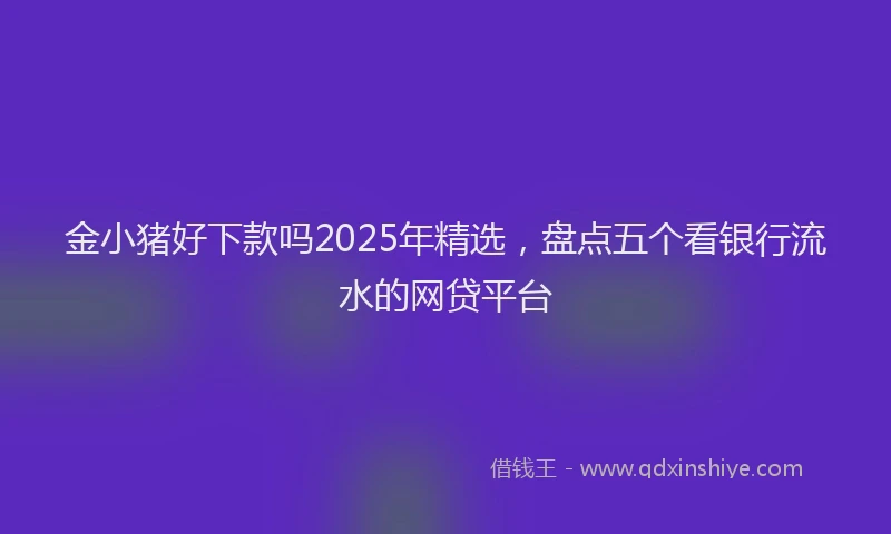 金小猪好下款吗2025年精选，盘点五个看银行流水的网贷平台