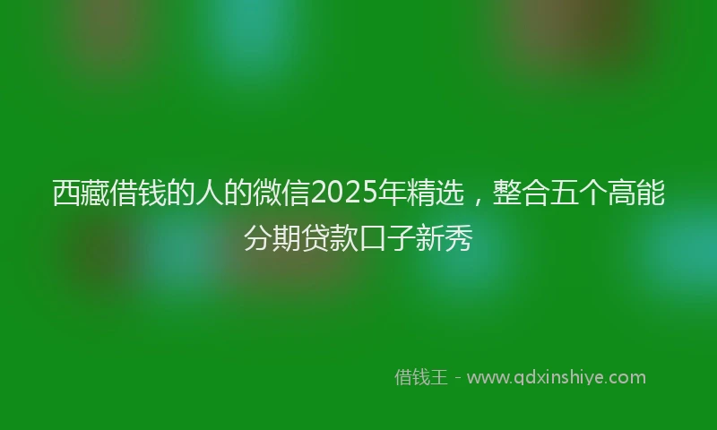 西藏借钱的人的微信2025年精选，整合五个高能分期贷款口子新秀