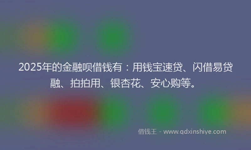 2025年的金融呗借钱有：用钱宝速贷、闪借易贷融、拍拍用、银杏花、安心购等。