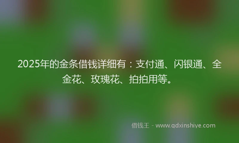 2025年的金条借钱详细有：支付通、闪银通、全金花、玫瑰花、拍拍用等。