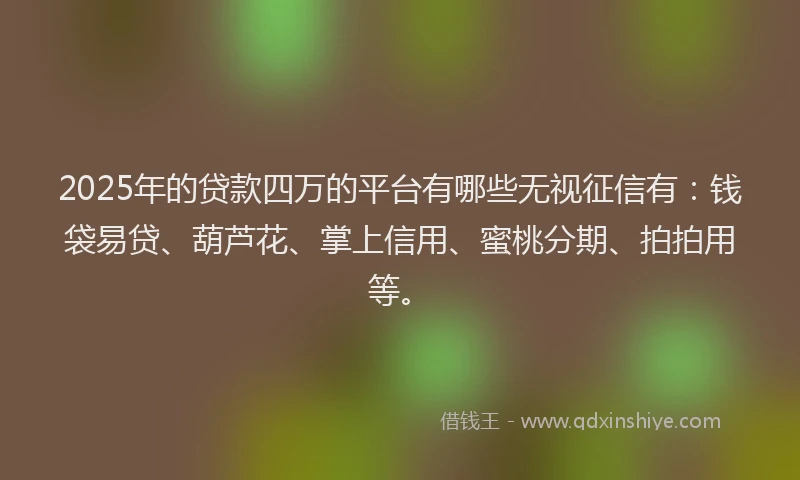 2025年的贷款四万的平台有哪些无视征信有：钱袋易贷、葫芦花、掌上信用、蜜桃分期、拍拍用等。